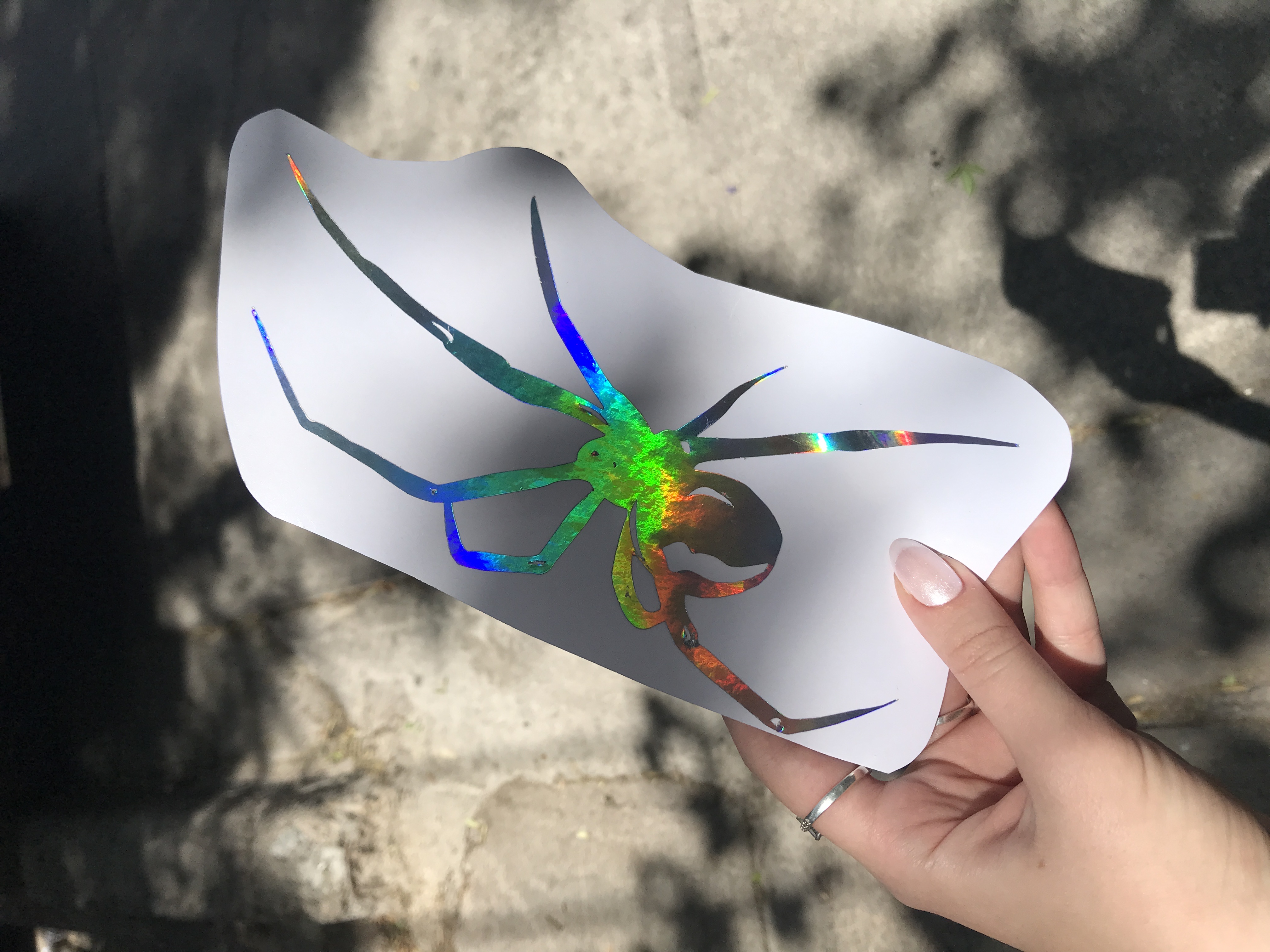 calcos ARAÑA tornasolada