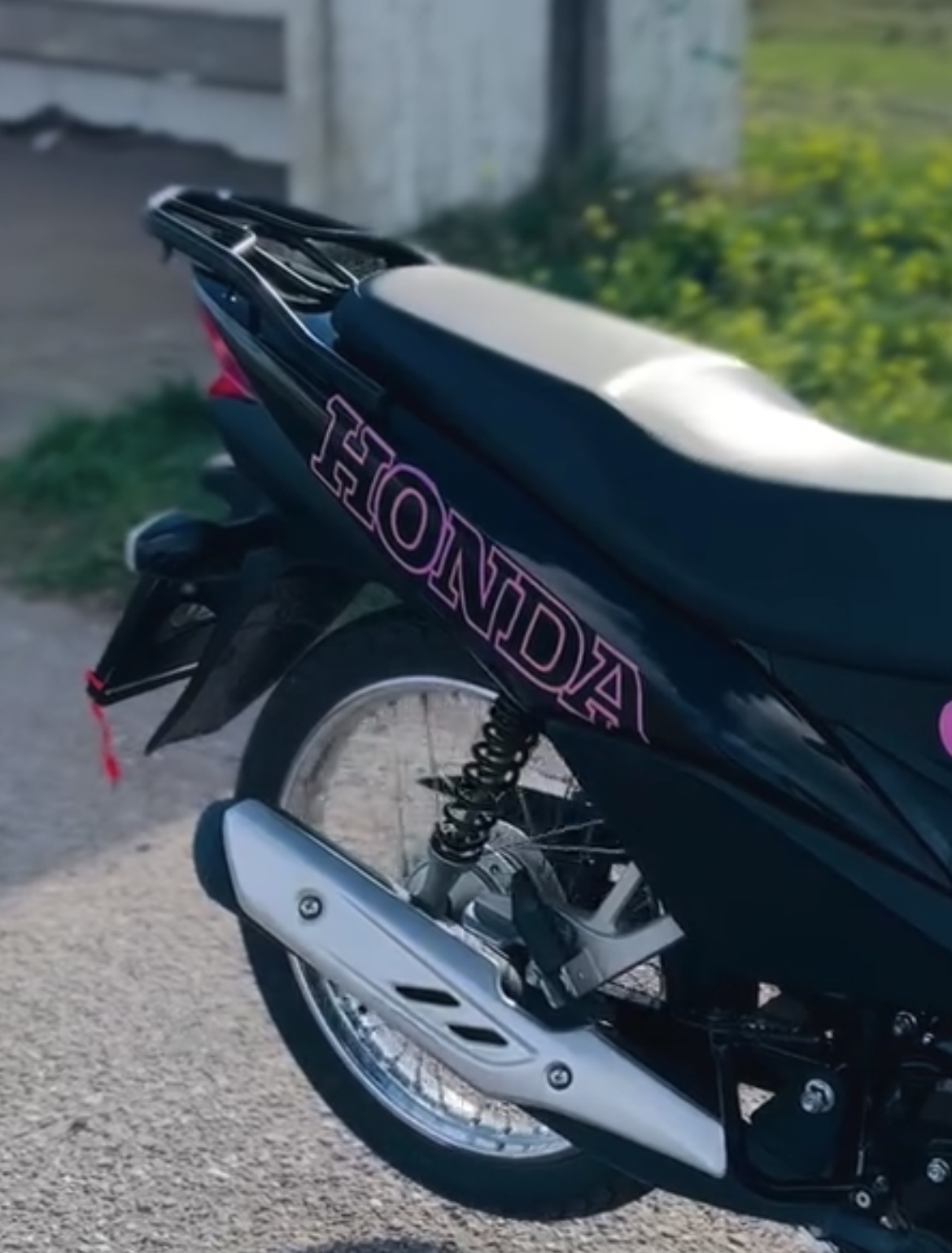 Calcos HONDA grande modelo 5 rosa